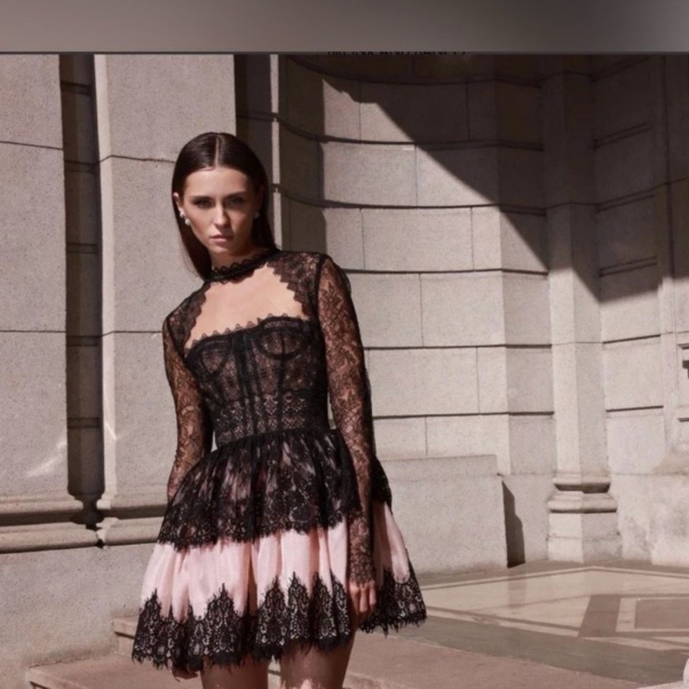 NEW Bronx and Banco Daphne Illusion Lace Sleeve Mini Dress with Blush Lining